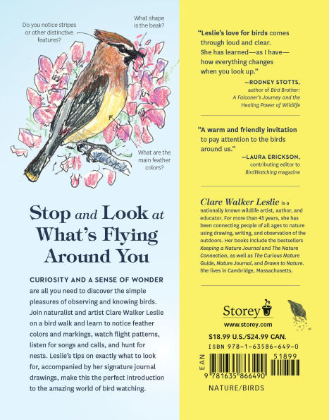How to Look at a Bird: Open Your Eyes the Joy of Watching and Knowing Birds