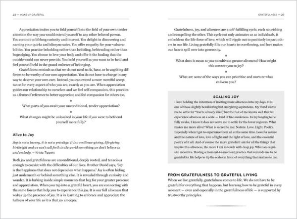 Wake Up Grateful: The Practice of Taking Nothing for Granted