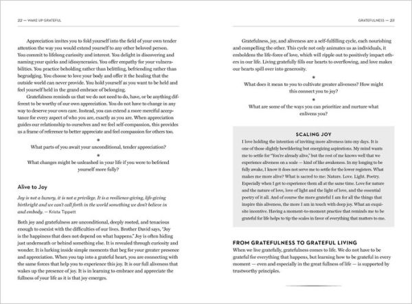 Wake Up Grateful: The Practice of Taking Nothing for Granted