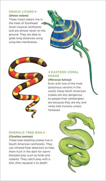 Slithering, Scaly Tattoo Snakes & Other Reptiles: 50 Temporary Tattoos That Teach
