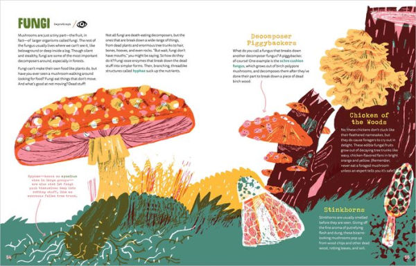 World of Rot: Learn All about the Wriggly, Slimy, Super-Cool Decomposers We Couldn't Live Without