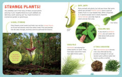 Alternative view 3 of Backpack Explorer: Discovering Plants and Flowers: What Will You Find?