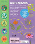 Alternative view 6 of Backpack Explorer: Discovering Plants and Flowers: What Will You Find?