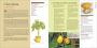 Alternative view 3 of Edible Houseplants: Grow Your Own Citrus, Coffee, Vanilla, and 43 Other Tasty Tropical Plants