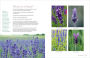 Alternative view 3 of The Lavender Companion: Enjoy the Aroma, Flavor, and Health Benefits of This Classic Herb