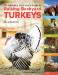 Alternative view 1 of An Absolute Beginner's Guide to Raising Backyard Turkeys: Varieties, Feeding, Shelter, Care