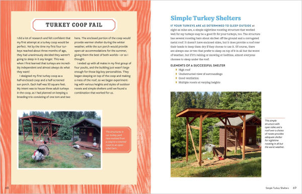 An Absolute Beginner's Guide to Raising Backyard Turkeys: Varieties, Feeding, Shelter, Care