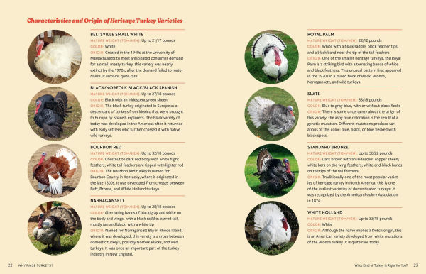 An Absolute Beginner's Guide to Raising Backyard Turkeys: Varieties, Feeding, Shelter, Care