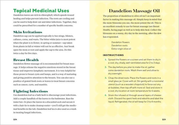 Dandelion Medicine, 2nd Edition: Forage, Feast, and Nourish Yourself with This Extraordinary Weed