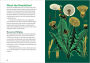 Alternative view 3 of Dandelion Medicine, 2nd Edition: Forage, Feast, and Nourish Yourself with This Extraordinary Weed