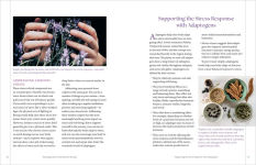 Alternative view 4 of Herbal Remedies for Sleep: How to Use Healing Herbs and Natural Therapies to Ease Stress, Promote Relaxation, and Encourage Healthy Sleep Habits
