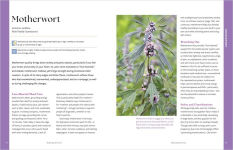 Alternative view 5 of Herbal Remedies for Sleep: How to Use Healing Herbs and Natural Therapies to Ease Stress, Promote Relaxation, and Encourage Healthy Sleep Habits