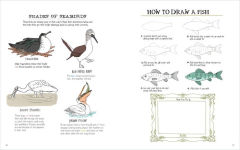 Alternative view 5 of Julia Rothman's Ocean Anatomy Activity Book: Match-Ups, Word Puzzles, Quizzes, Mazes, Projects, Secret Codes + Lots More