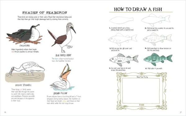 Julia Rothman's Ocean Anatomy Activity Book: Match-Ups, Word Puzzles, Quizzes, Mazes, Projects, Secret Codes + Lots More