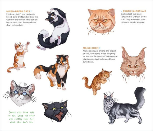 Cute, Cuddly Tattoo Cats & Kittens: 50 Temporary Tattoos That Teach