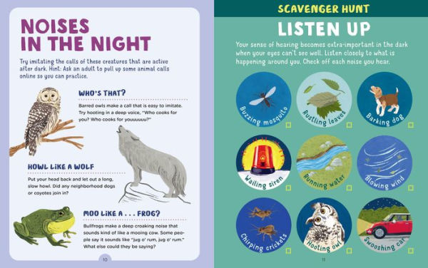 Backpack Explorer: Night Walk: What Will You Find?