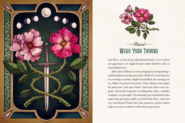 Maia Toll's Wild Wisdom Tattoos: 60 Temporary Tattoos plus 10 Collectible Guided-Ritual Cards
