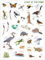 Alternative view 2 of Backpack Explorer Stickers: Nature Adventure: 300 Stickers plus Play & Learn Activities