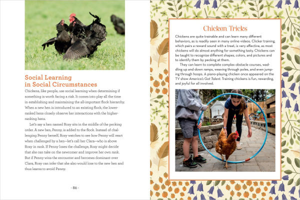 How to Read a Chicken's Mind: Understand Chickens Learn, Perceive People, Express Emotions, and Pass Down Knowledge