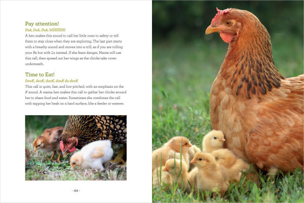How to Read a Chicken's Mind: Understand Chickens Learn, Perceive People, Express Emotions, and Pass Down Knowledge