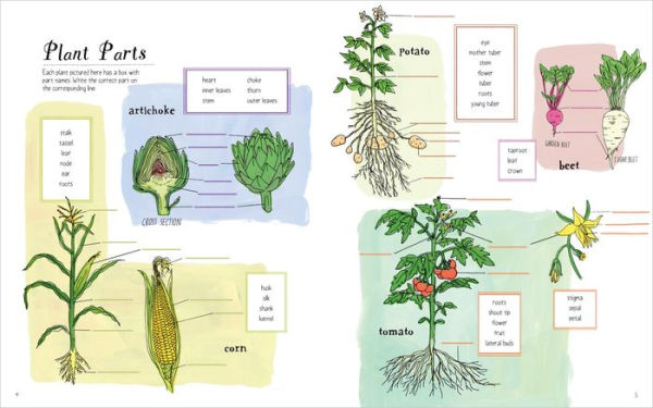 Julia Rothman's Farm Anatomy Activity Book: Match-ups, Word Puzzles, Quizzes, Mazes, Projects, Secret Codes & Lots More