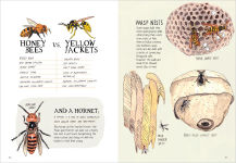 Alternative view 4 of Insect Anatomy: The Curious World of Bees, Beetles, Butterflies, and Bugs