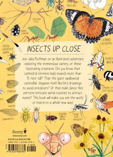 Insect Anatomy: The Curious World of Bees, Beetles, Butterflies, and Bugs