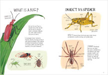 Alternative view 6 of Insect Anatomy: The Curious World of Bees, Beetles, Butterflies, and Bugs
