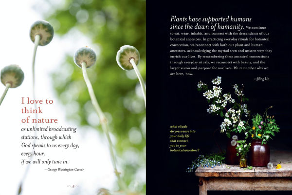 The Generosity of Plants: Shared Wisdom from the Community of Herb Lovers