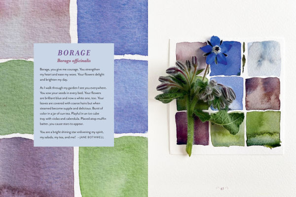 The Generosity of Plants: Shared Wisdom from the Community of Herb Lovers