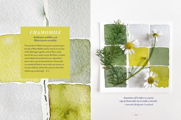 The Generosity of Plants: Shared Wisdom from the Community of Herb Lovers