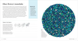Alternative view 2 of Draw Tiny: Artful Doodling Activities to Awaken Creativity and Foster Mindfulness