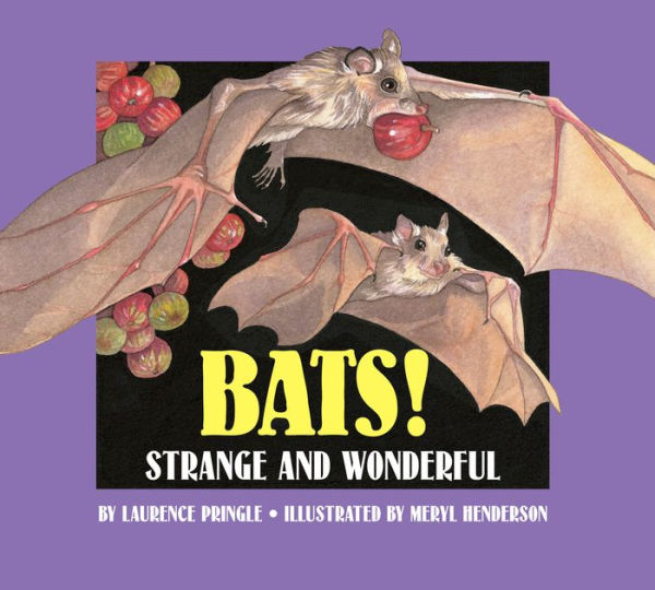 Bats!: Strange and Wonderful