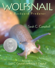 Title: Wolfsnail: A Backyard Predator, Author: Sarah C. Campbell