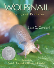 Title: Wolfsnail: A Backyard Predator, Author: Sarah C. Campbell