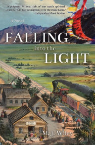 Books audio download for free Falling Into The Light