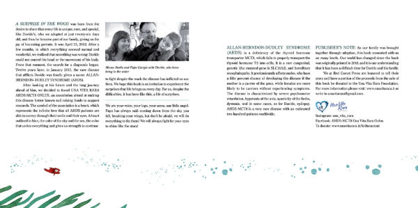 A Surprise the Wood: touching story of love and true meaning family.