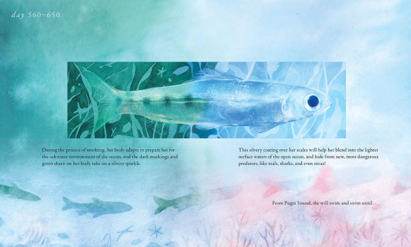 Salmon Run: An epic journey to the ocean and back