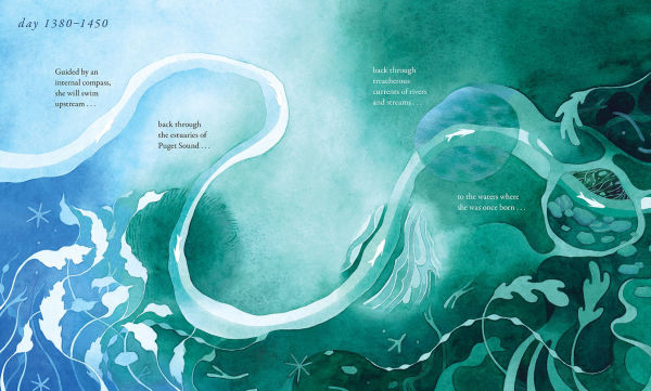 Salmon Run: An epic journey to the ocean and back