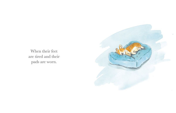 What Do You Do When Your Dog Grows Old: A Poem by Jackie Short