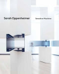 Alternative view 1 of Sarah Oppenheimer: Sensitive Machine