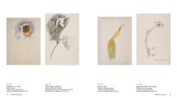 Alternative view 12 of Joseph Stella: Visionary Nature