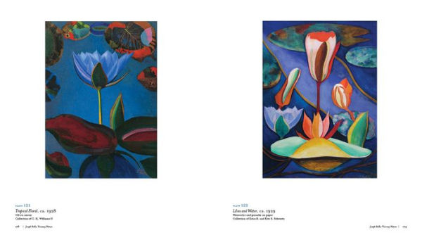 Joseph Stella: Visionary Nature