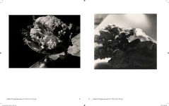 Alternative view 4 of Jay DeFeo: Photographic Work