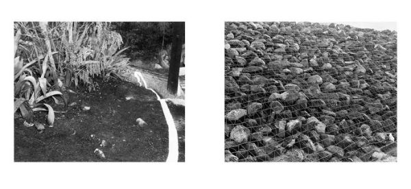 Larry Sultan & Mike Mandel: Evidence