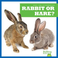 Title: Rabbit or Hare?, Author: Jamie Rice