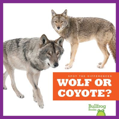 Wolf or Coyote?