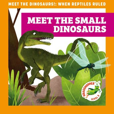 Meet the Small Dinosaurs