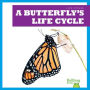 A Butterfly's Life Cycle