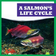 Title: A Salmon's Life Cycle, Author: Jamie Rice